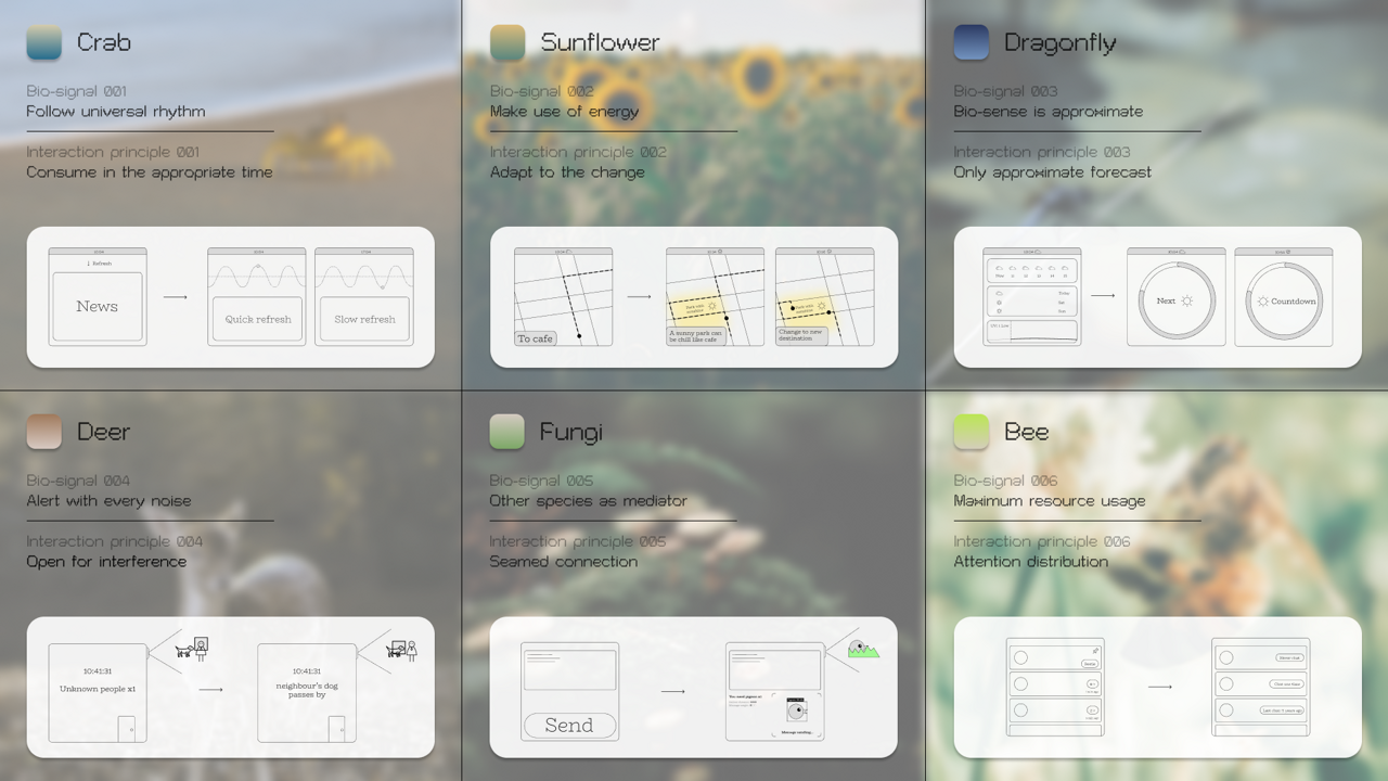 Wireframe – how bio-signals inspire new interaction principles