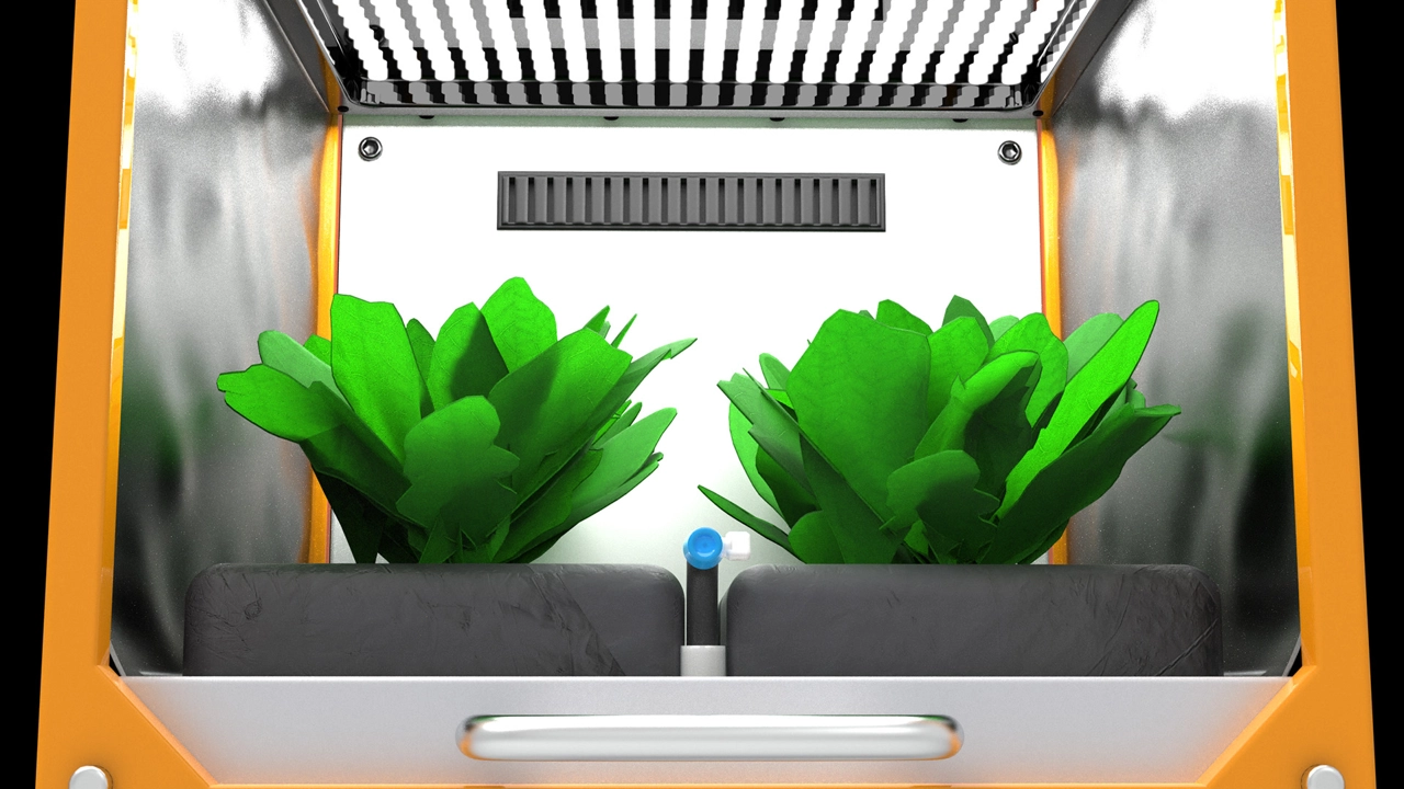 Plant module render
