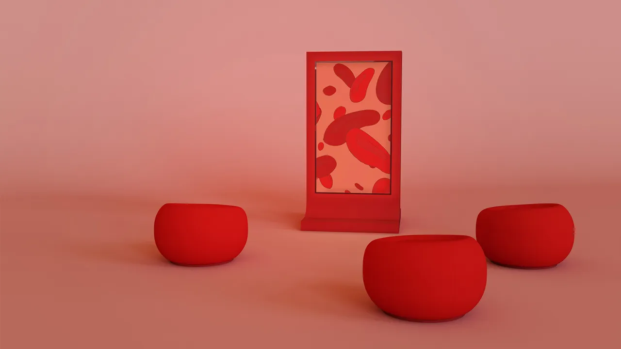 Installation in its’ standard mode