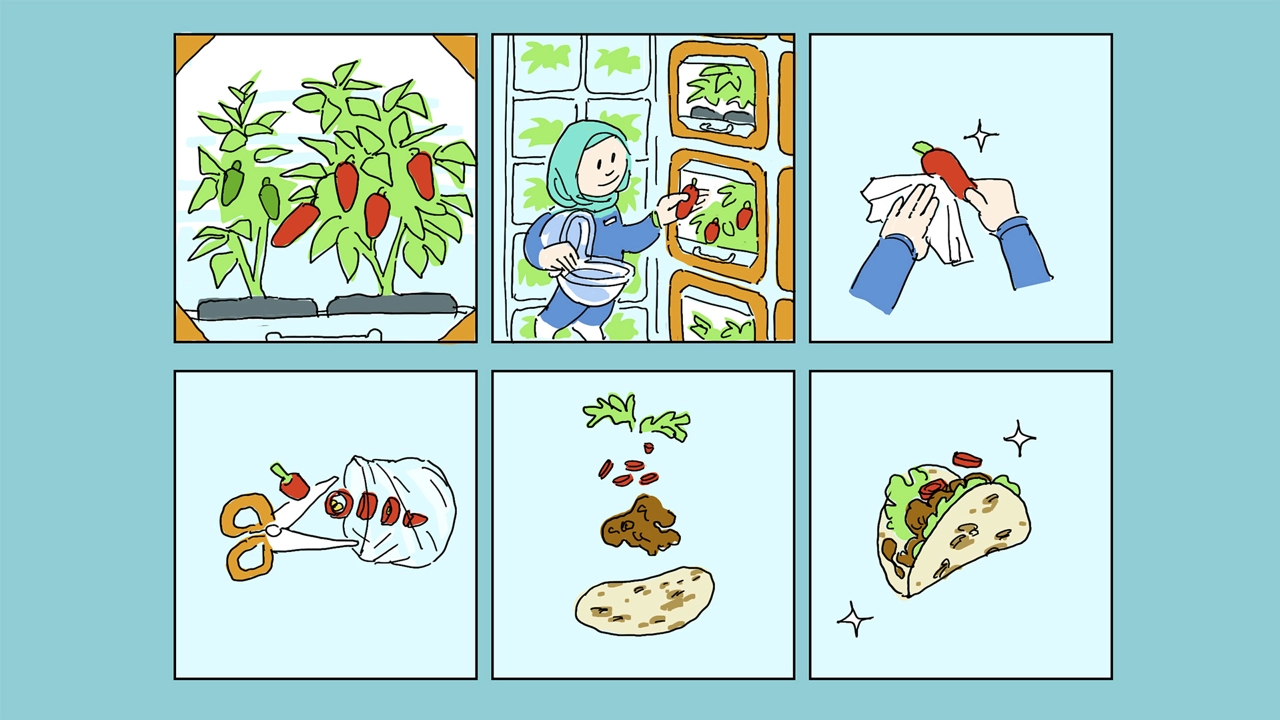 Scenario – Harvesting