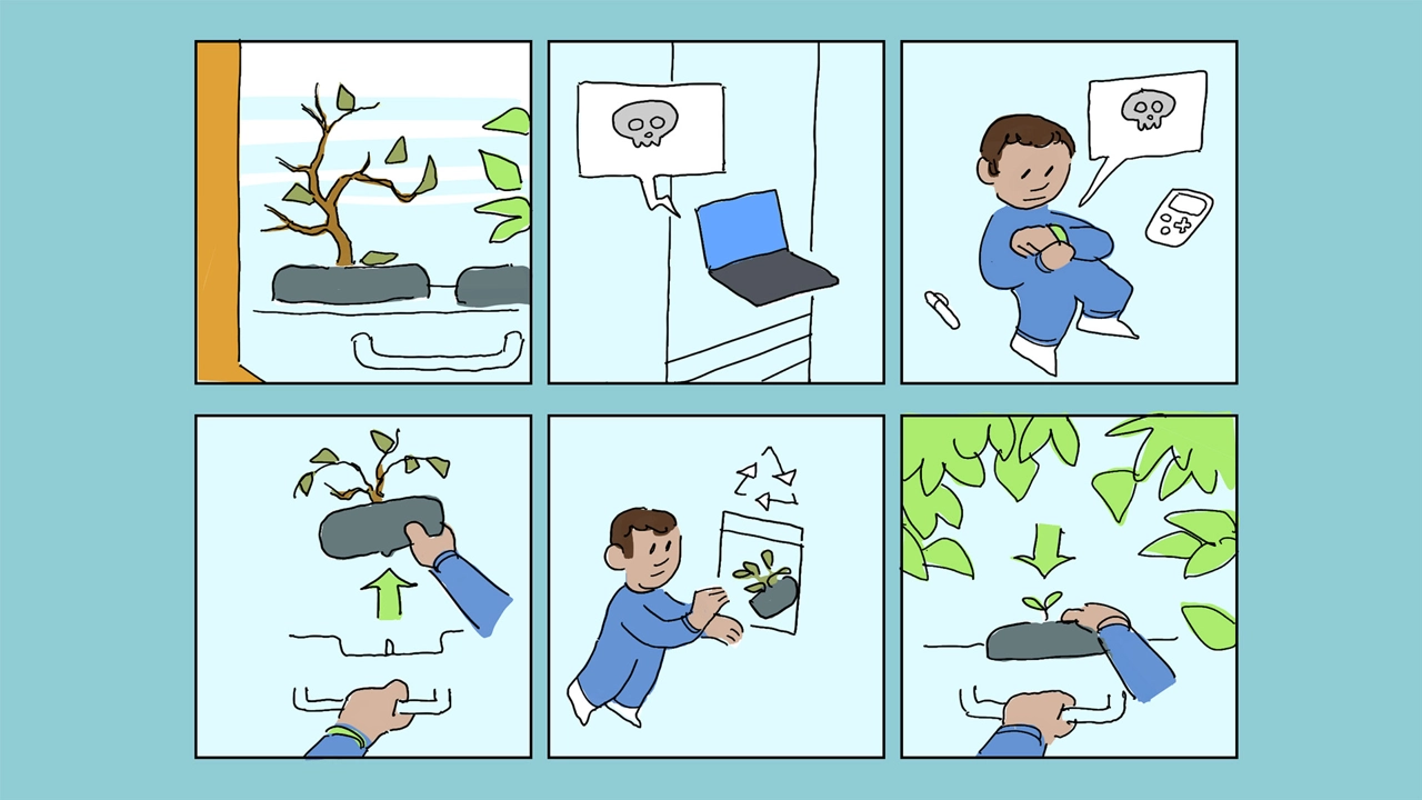 Scenario – Re-planting