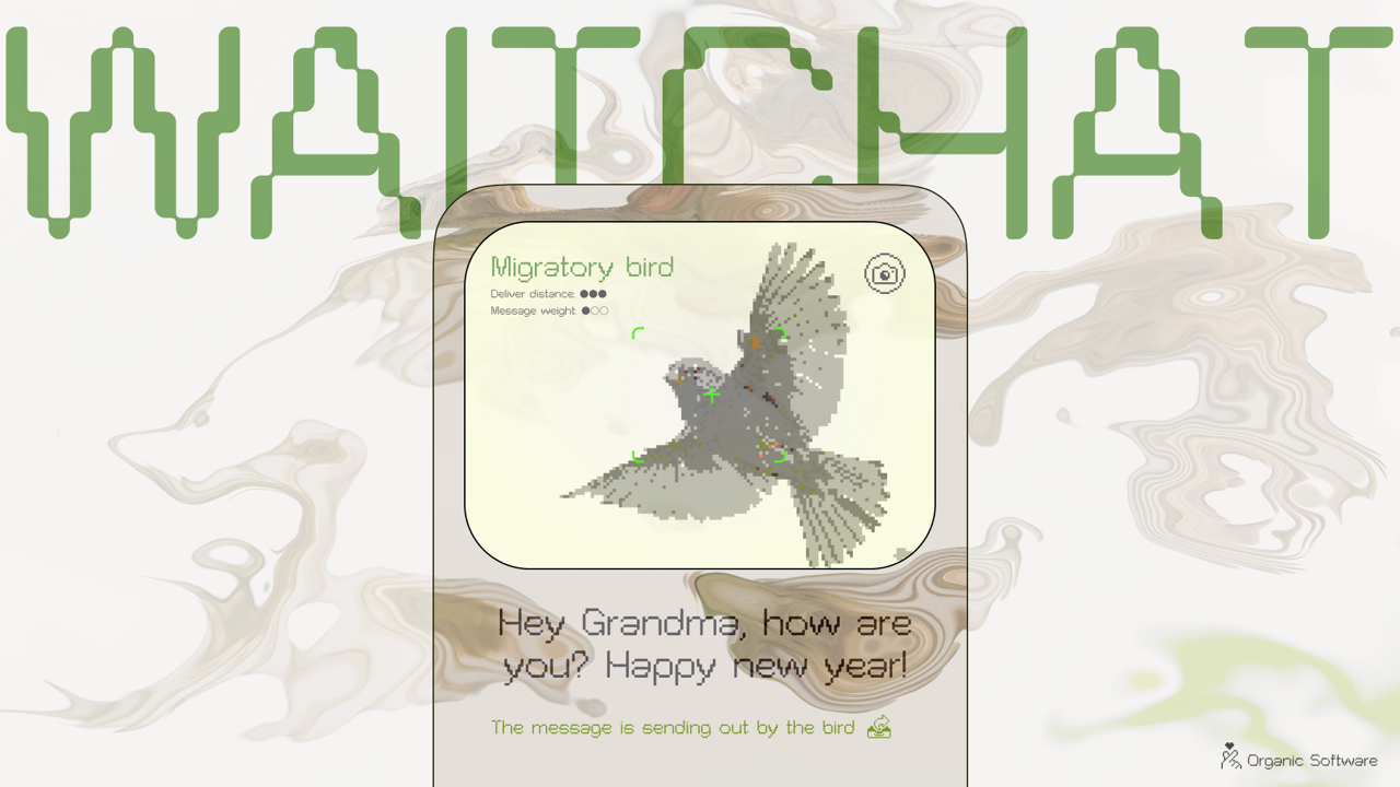 Software05 - ‘Fungi’ (WaitChat)