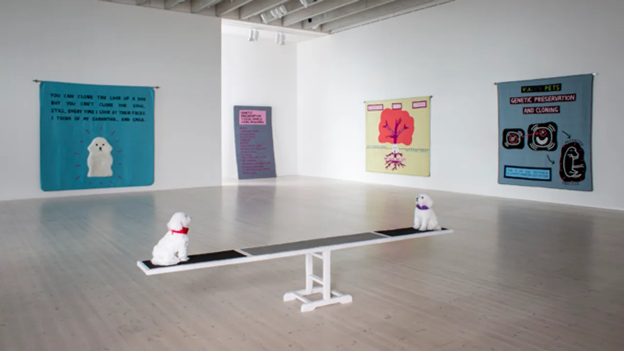 Två hundar på. en gungbräda