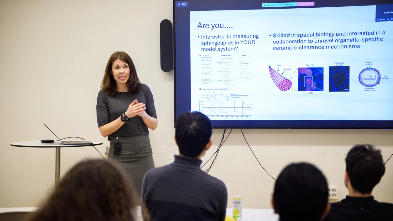 Elin Chorell stands by a screen displaying a slide outlining her need for collaborators.