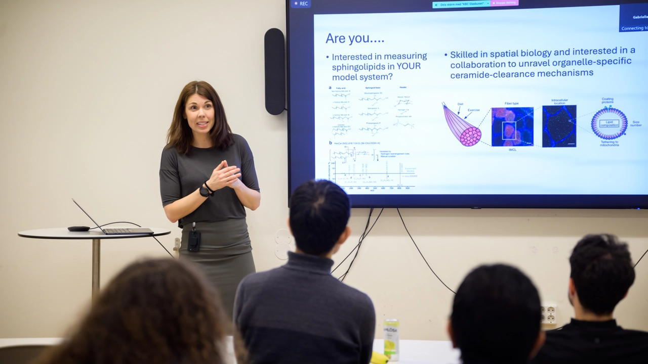 Elin Chorell står vid en skärm där hon visar en bild som beskriver hennes behov av medarbetare.