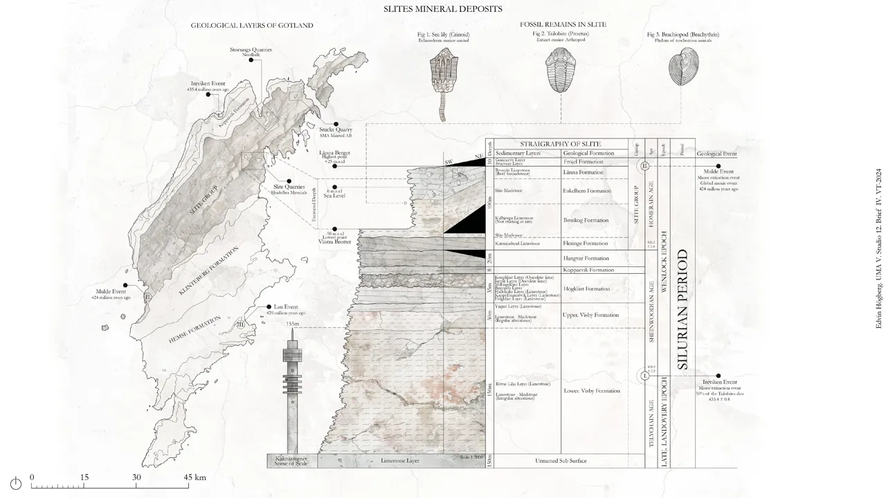 Illustration by sttudent