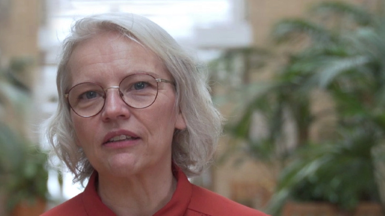 Video: Studying Health Psychology in Umeå