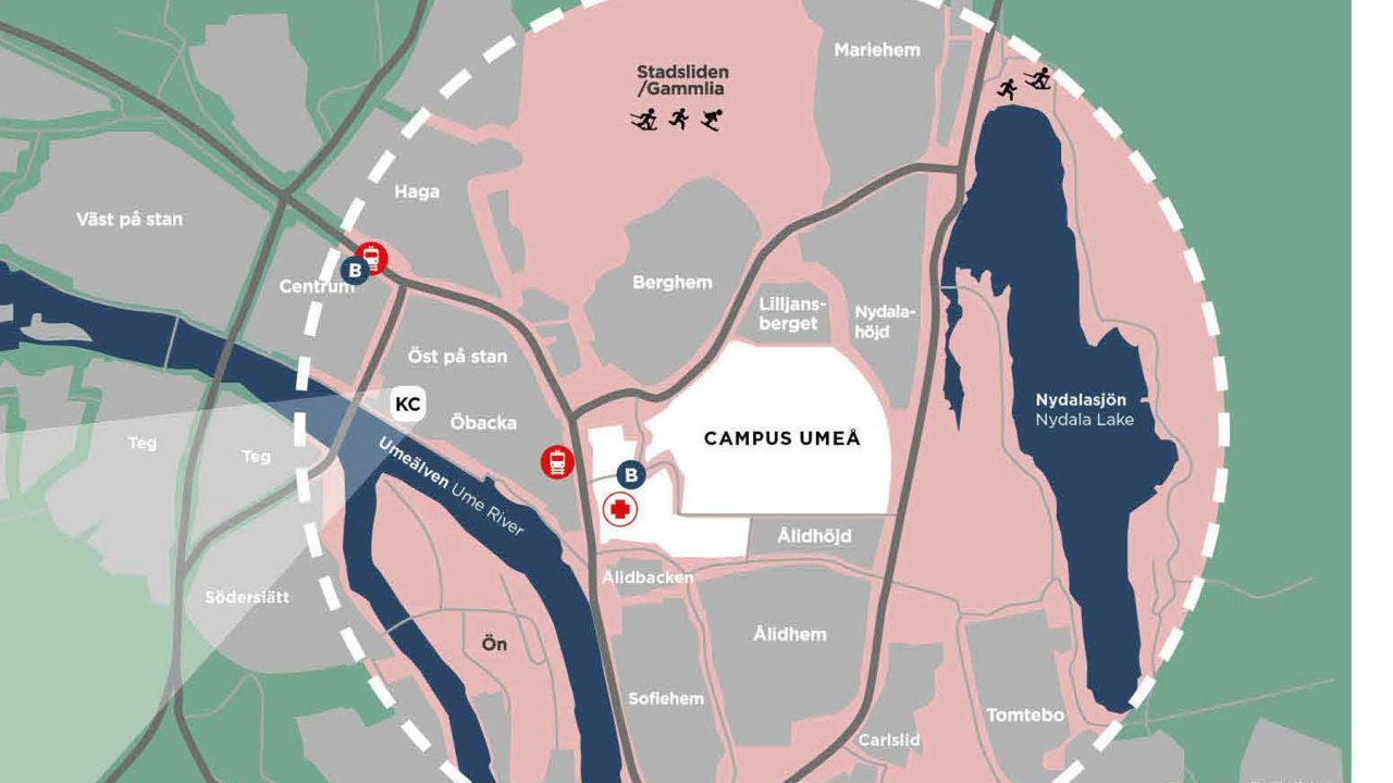 A map of Umeå city with focus on some of the student neighbourhoods.