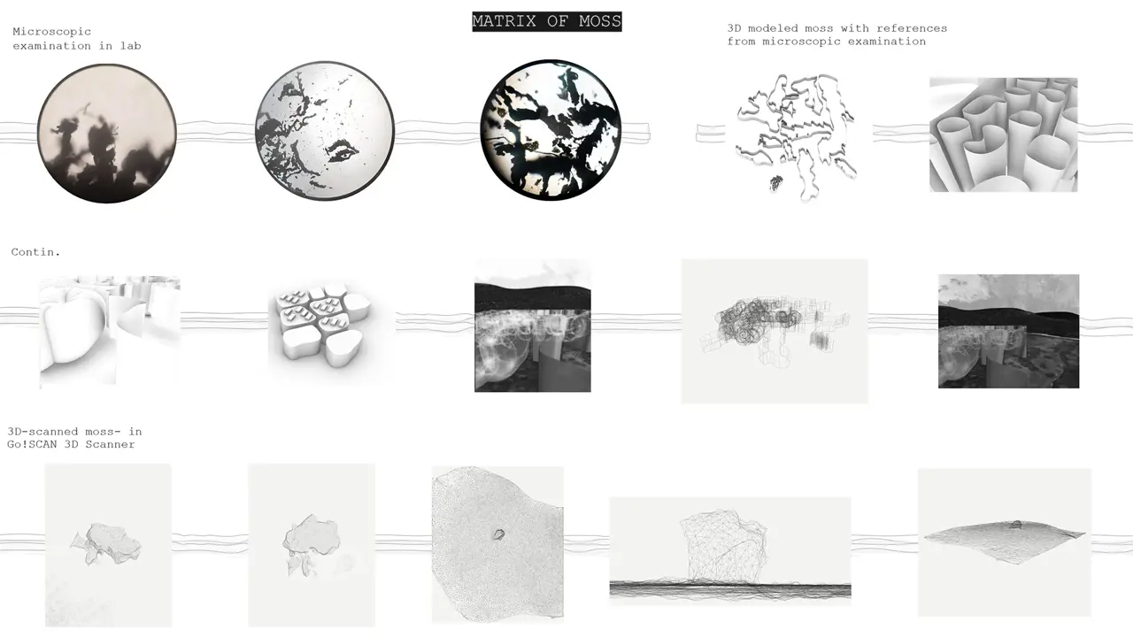 Illustration by student