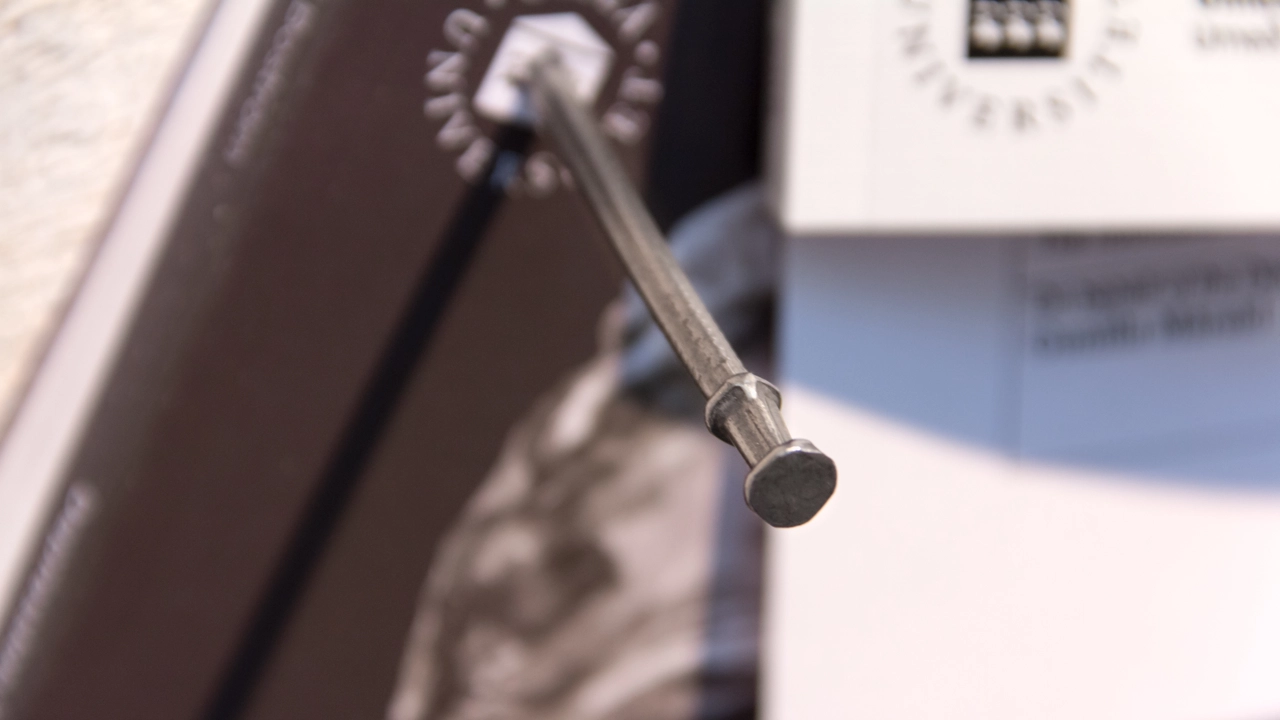 Närbild på en spik som sitter i en avhandling.