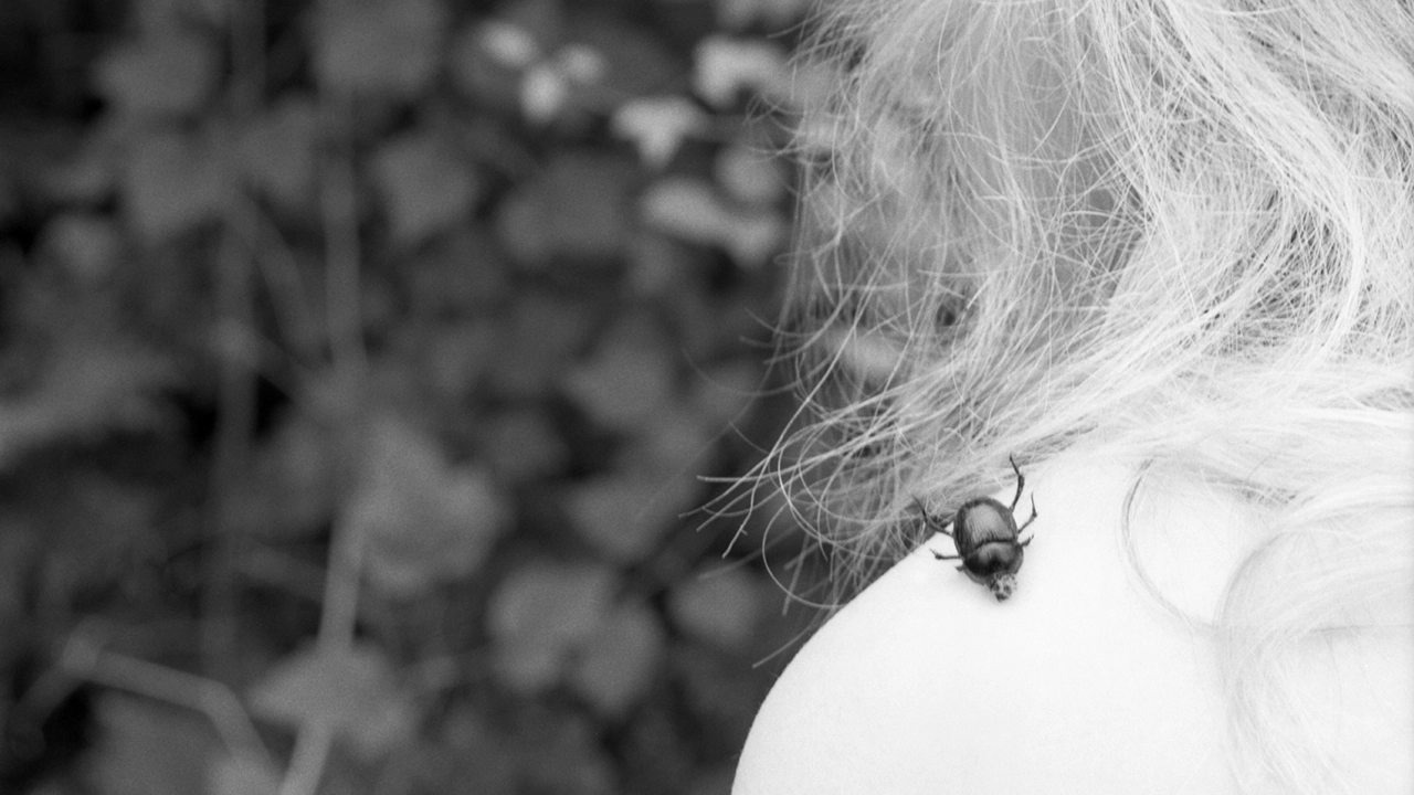 person med skalbagge på axeln