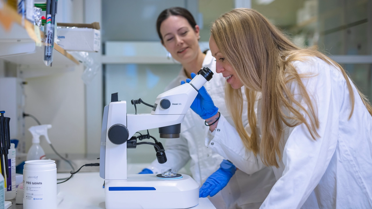 En kvinna i labbrock tittar genom ett mikroskop.