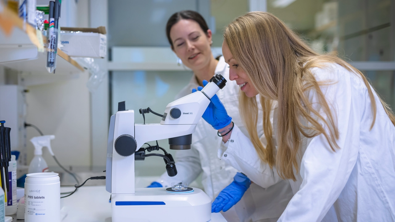 A researcher is looking into a microscope in a lab.