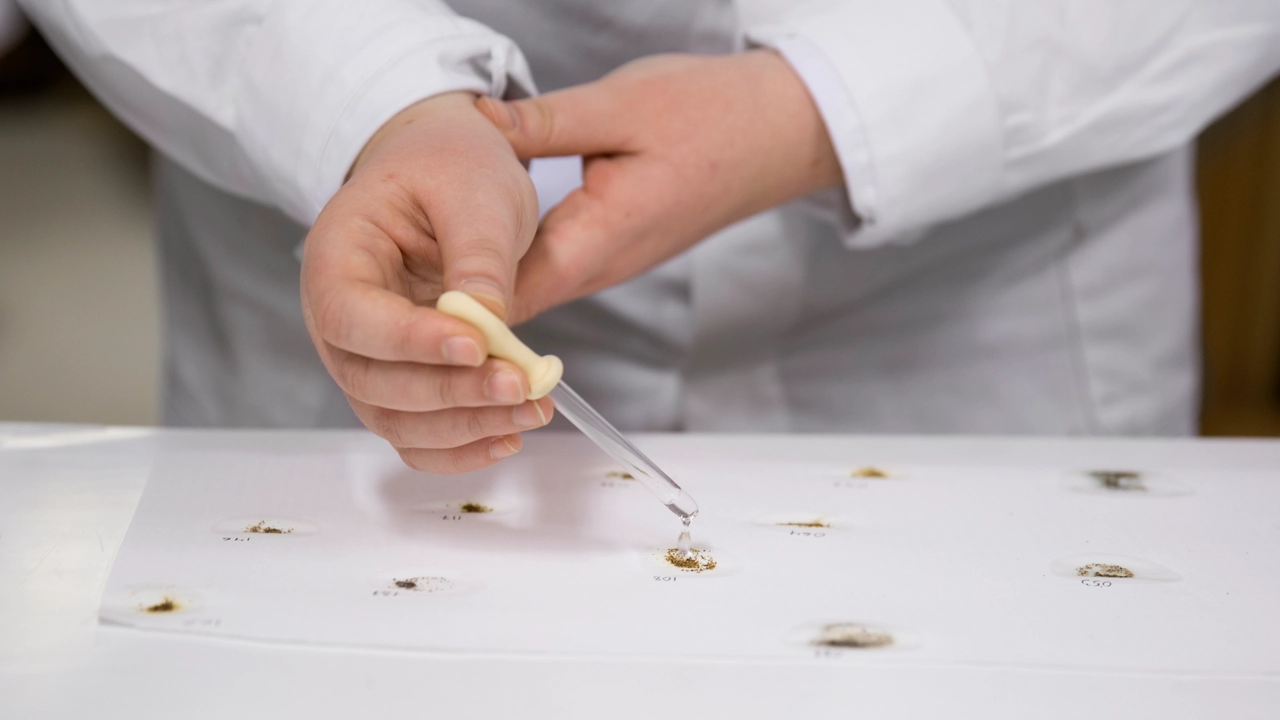 Bild på student med pipett