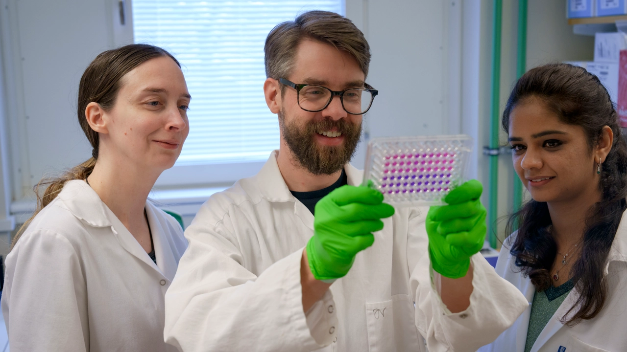 En forskare med gröna skyddshandskar håller upp en färgglad karta av prover framför två kollegor.