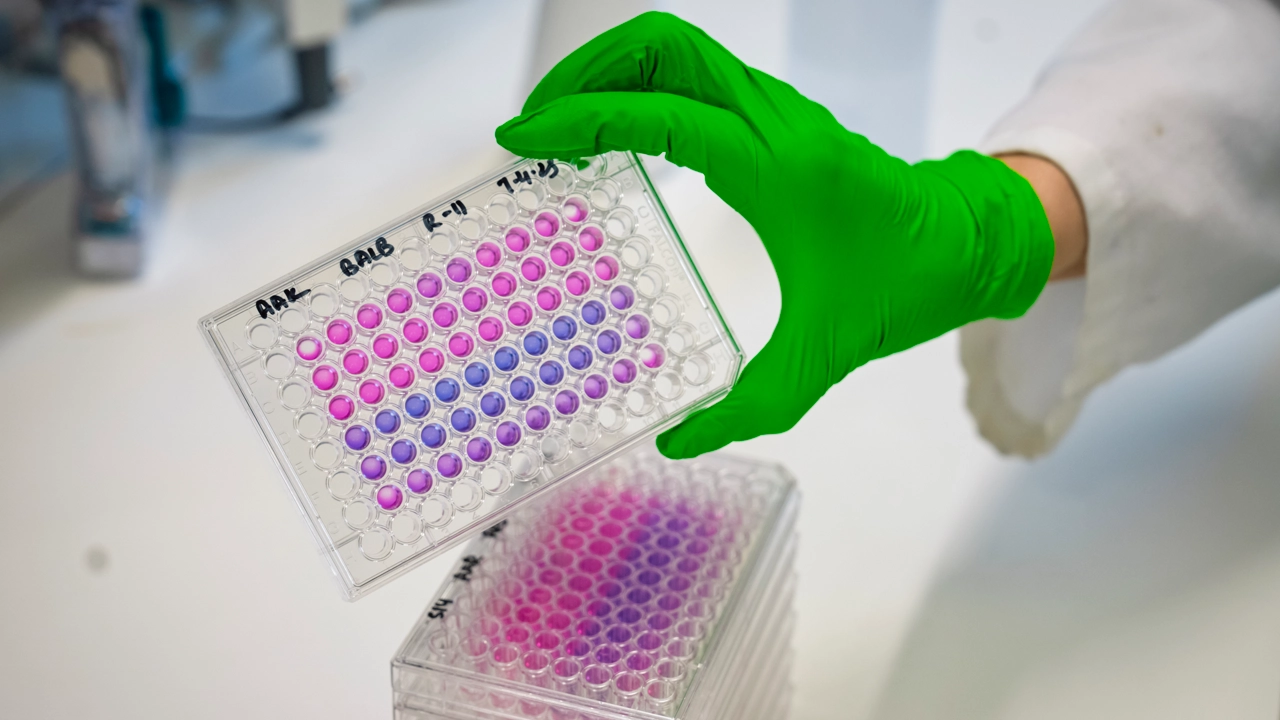 En hand med plasthandske håller upp prover.