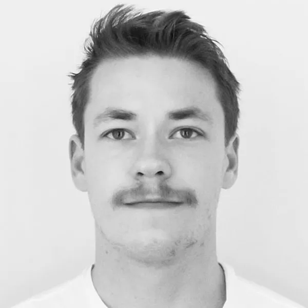 Henning Birgersson Portrait