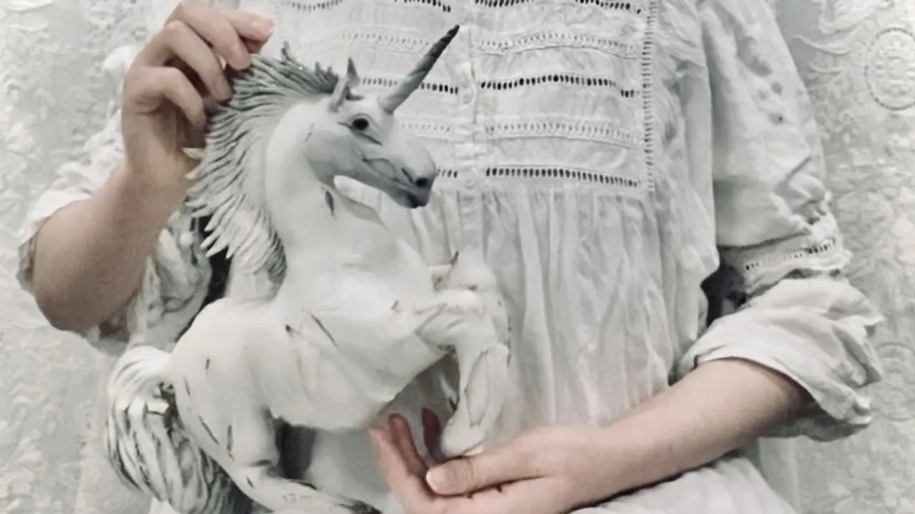 Person holding a white unicorn.