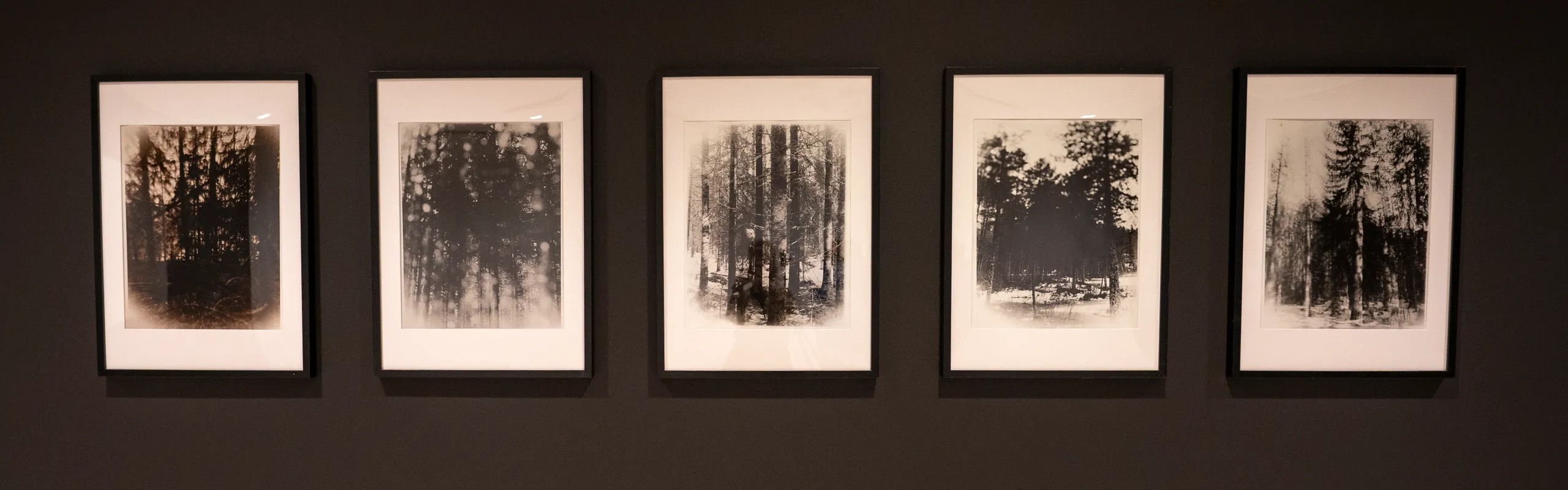 Photographies by Raphael Vargas 