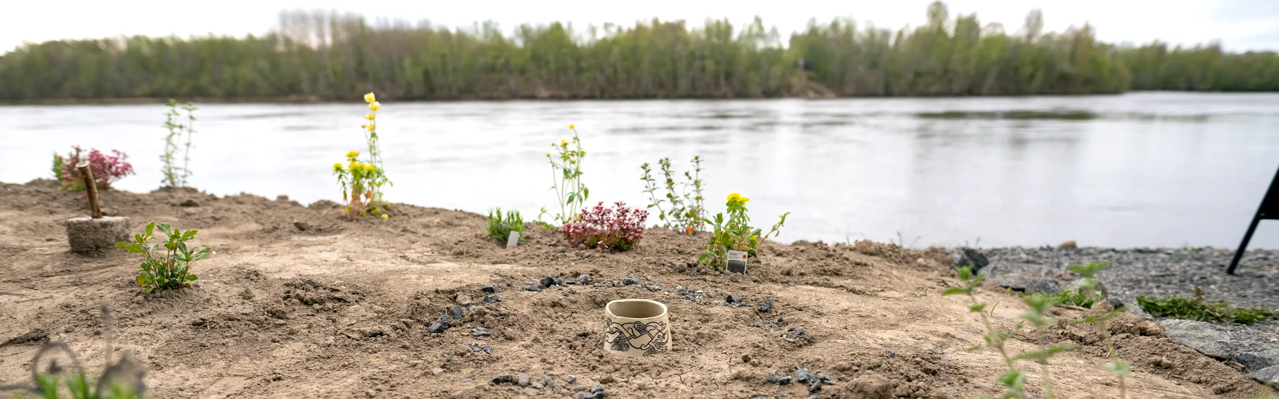 Karg trädgård vid älven