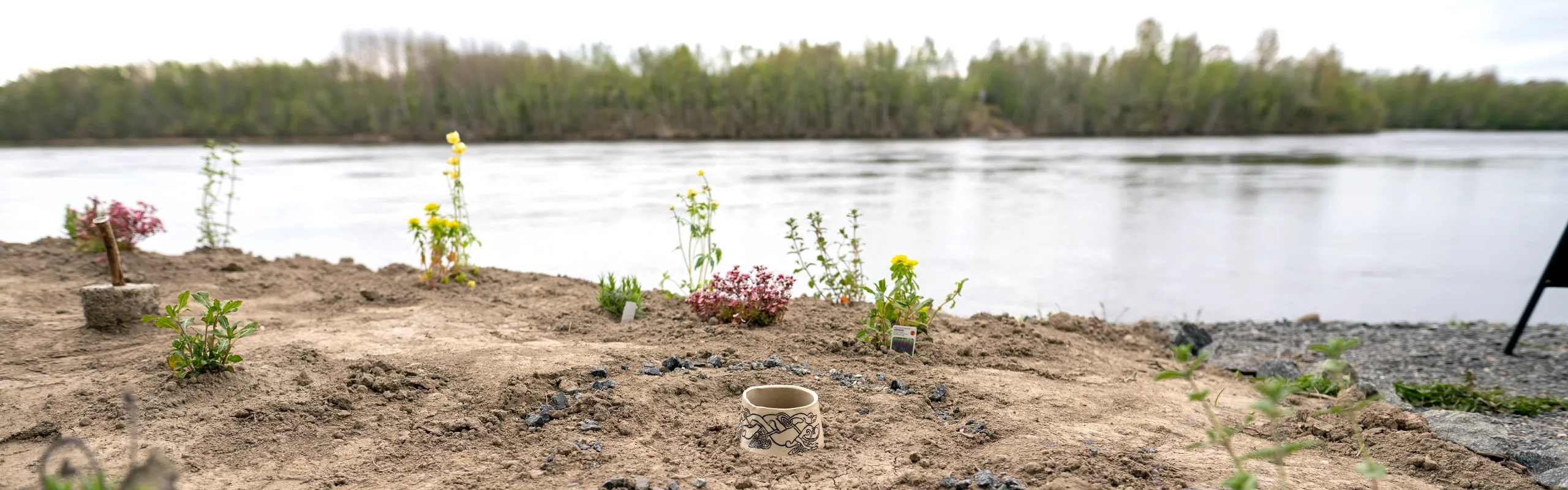 Karg trädgård vid älven
