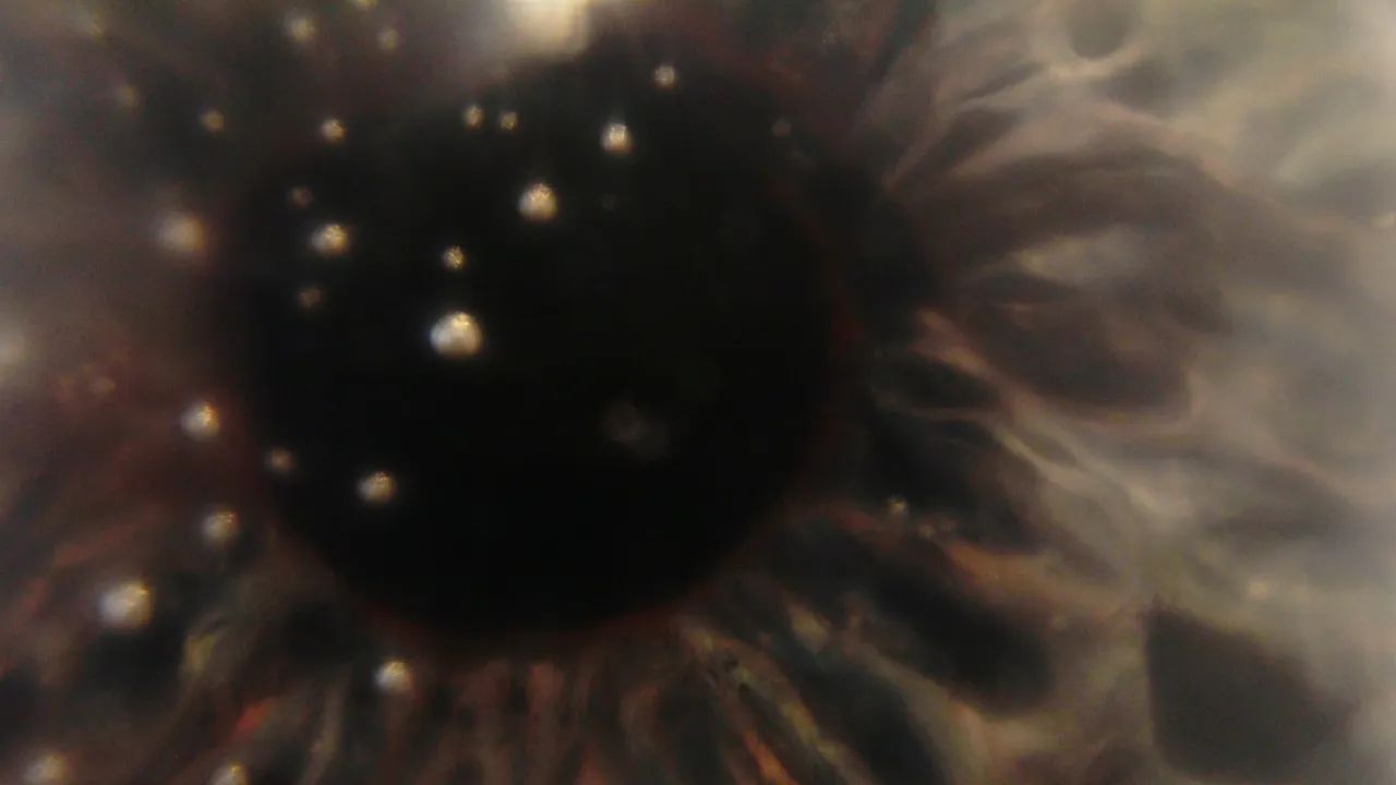 Suddig bild av pärlor mot mörk bakgrund