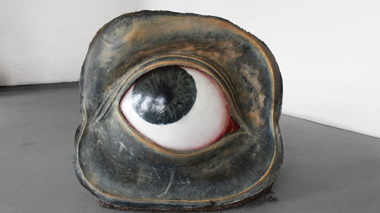 Skulptur av ett öga
