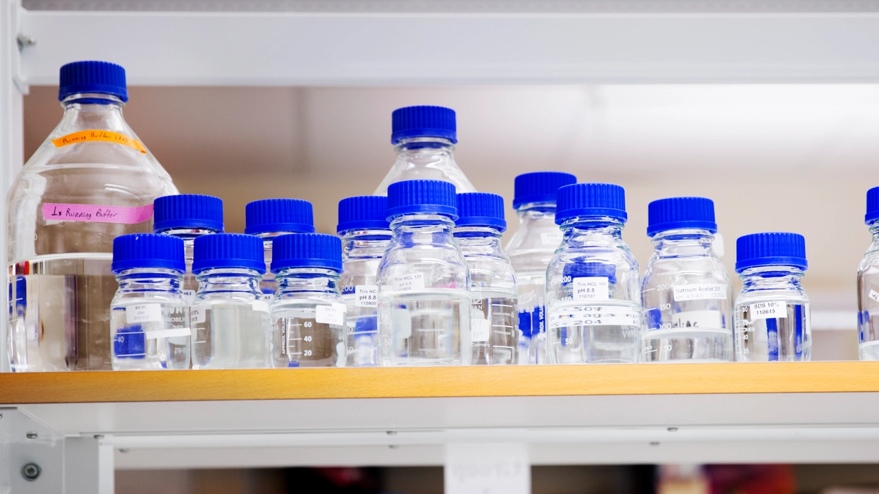 Empty jars on a shelf in a lab.