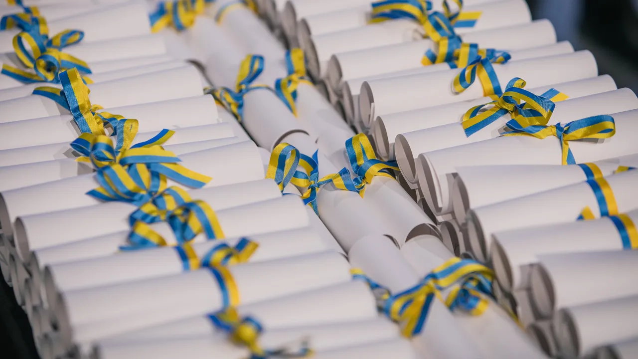 Rullar med diplom knutna med gult och blått band.