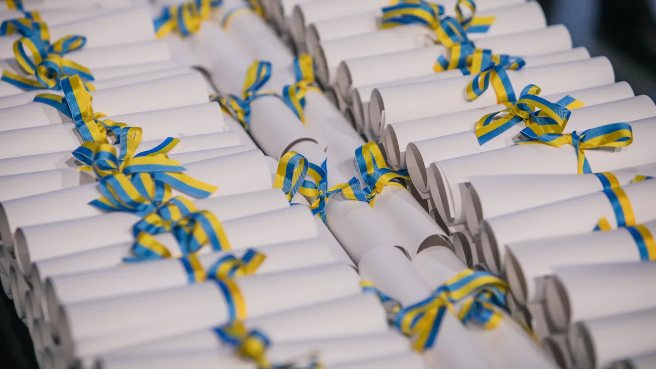 Scrolls of diplomas tied with a yellow and blue ribbon.