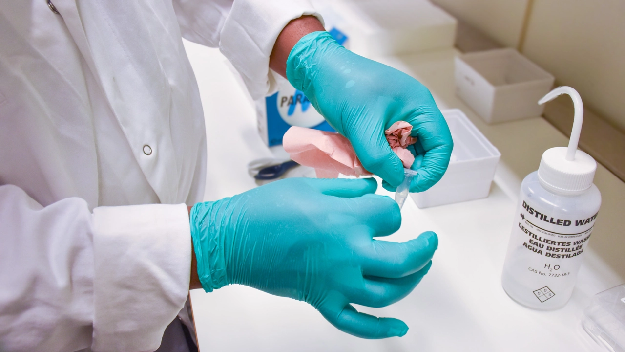 Photo of hands in gloves working on samples in a chemistry lab