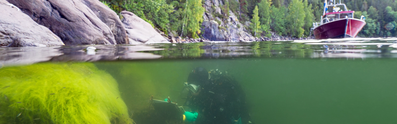 En vattenyta med en dykare under vatten och en båt på vattnet.