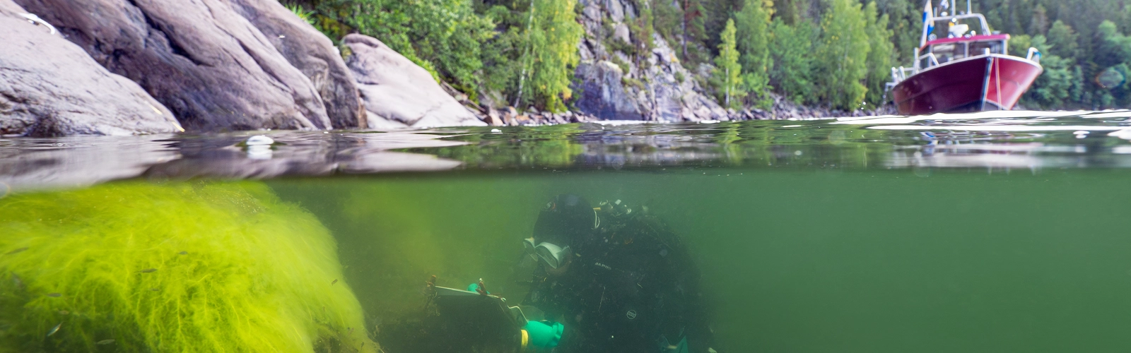 En vattenyta med en dykare under vatten och en båt på vattnet.