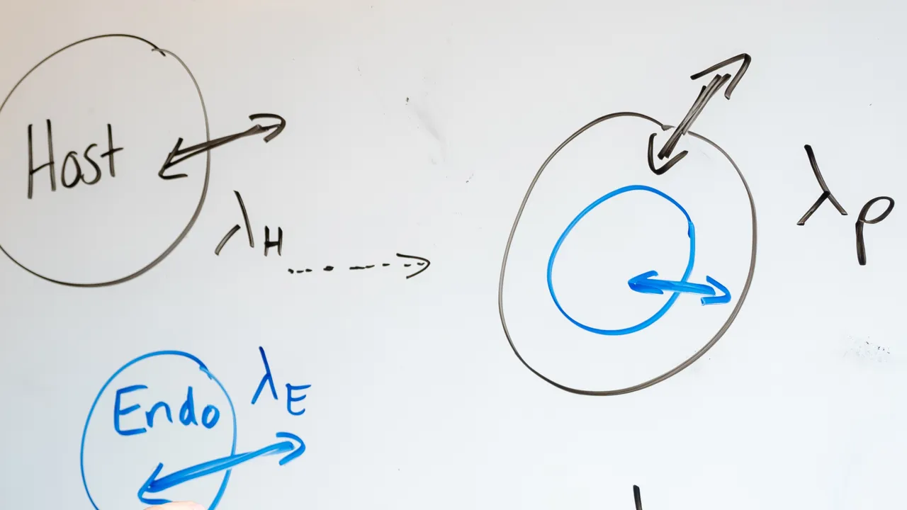 Whiteboard graphics