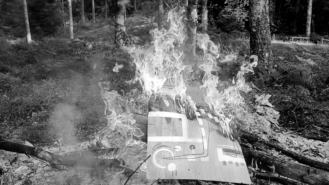  Brinnande träskiva i skogen