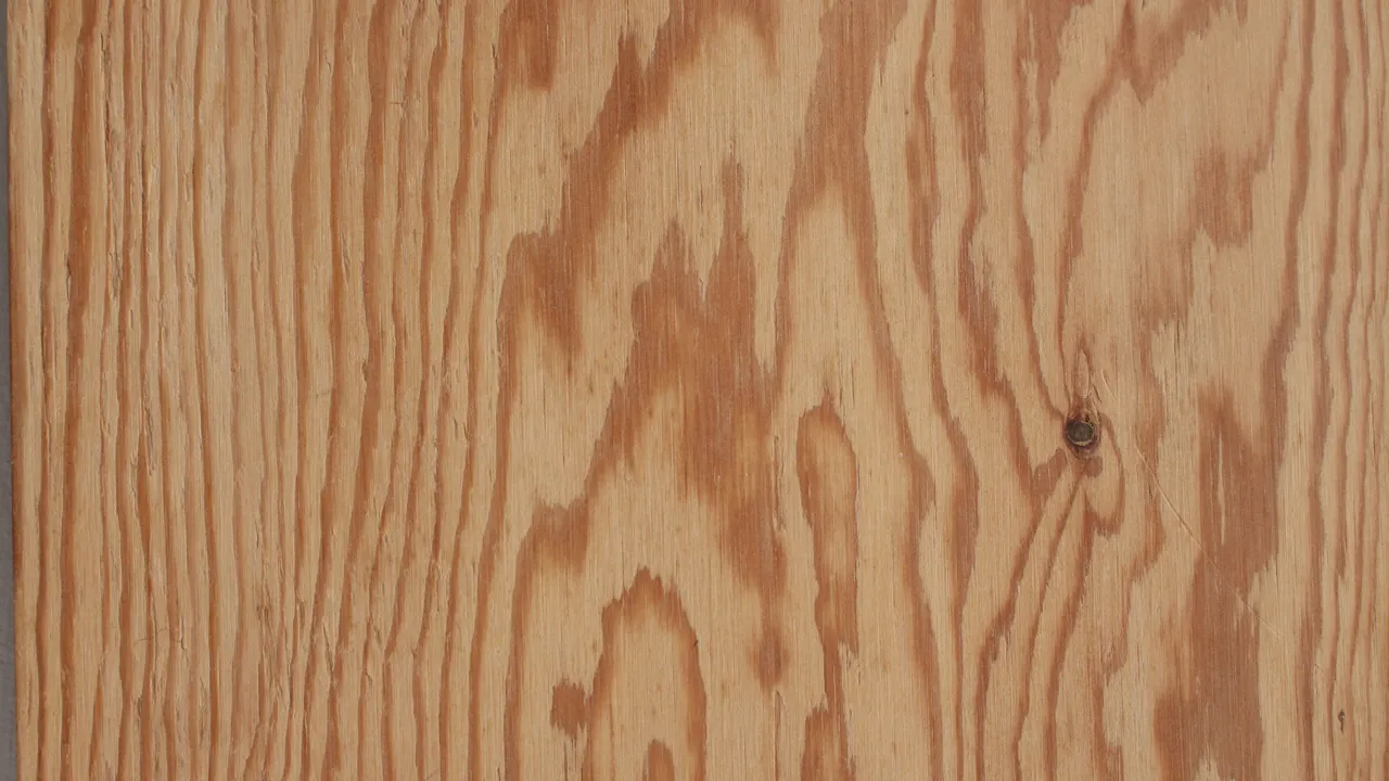 Yta av furu med kvist