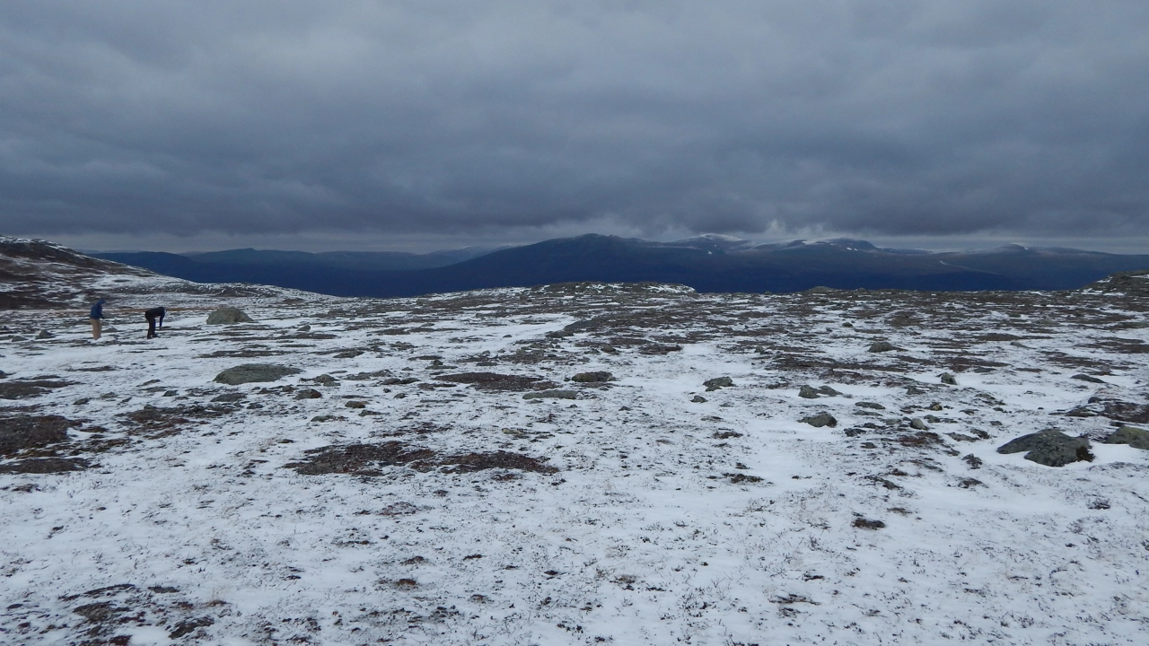 Bild på snötäckt mark och hav i horisonten