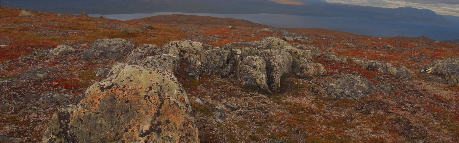 Bild på fjällandskap
