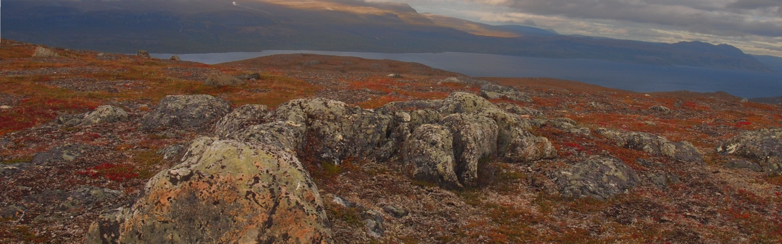 Bild på fjällandskap
