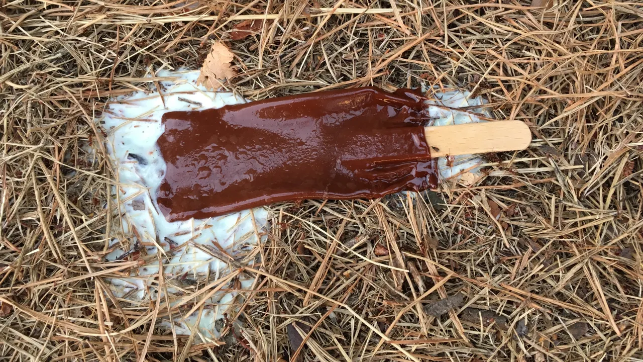 Design after progress