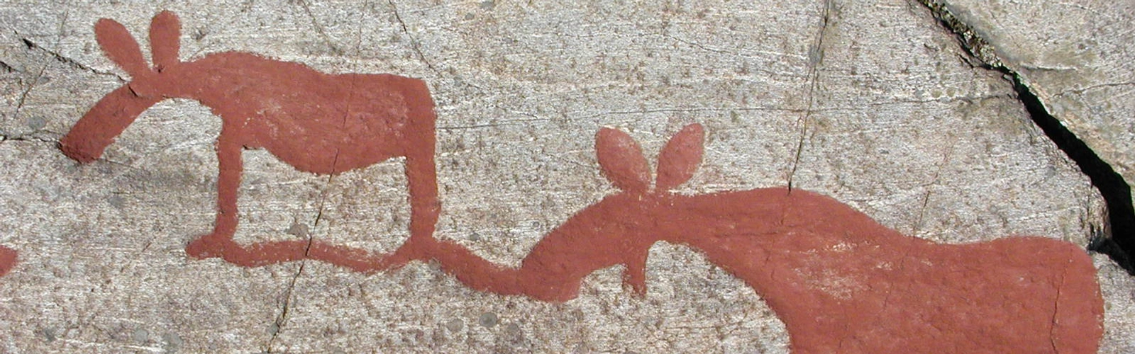 Fotografi av hällristning föreställande tre älgar ifyllda med röd färg.