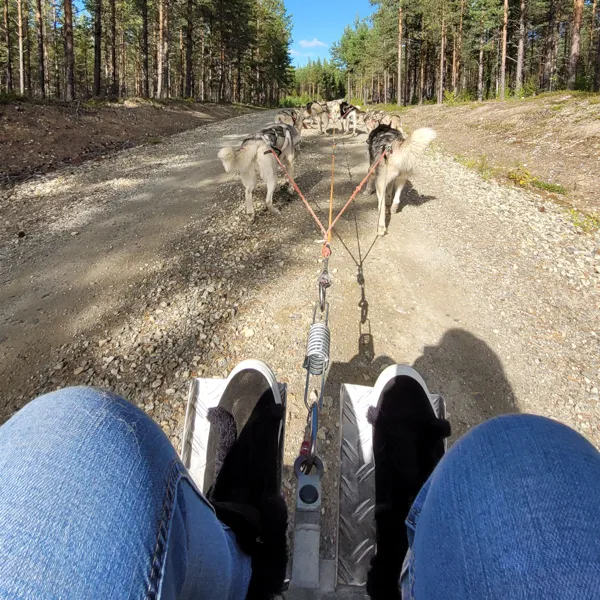 Image of master's student going dog sledding