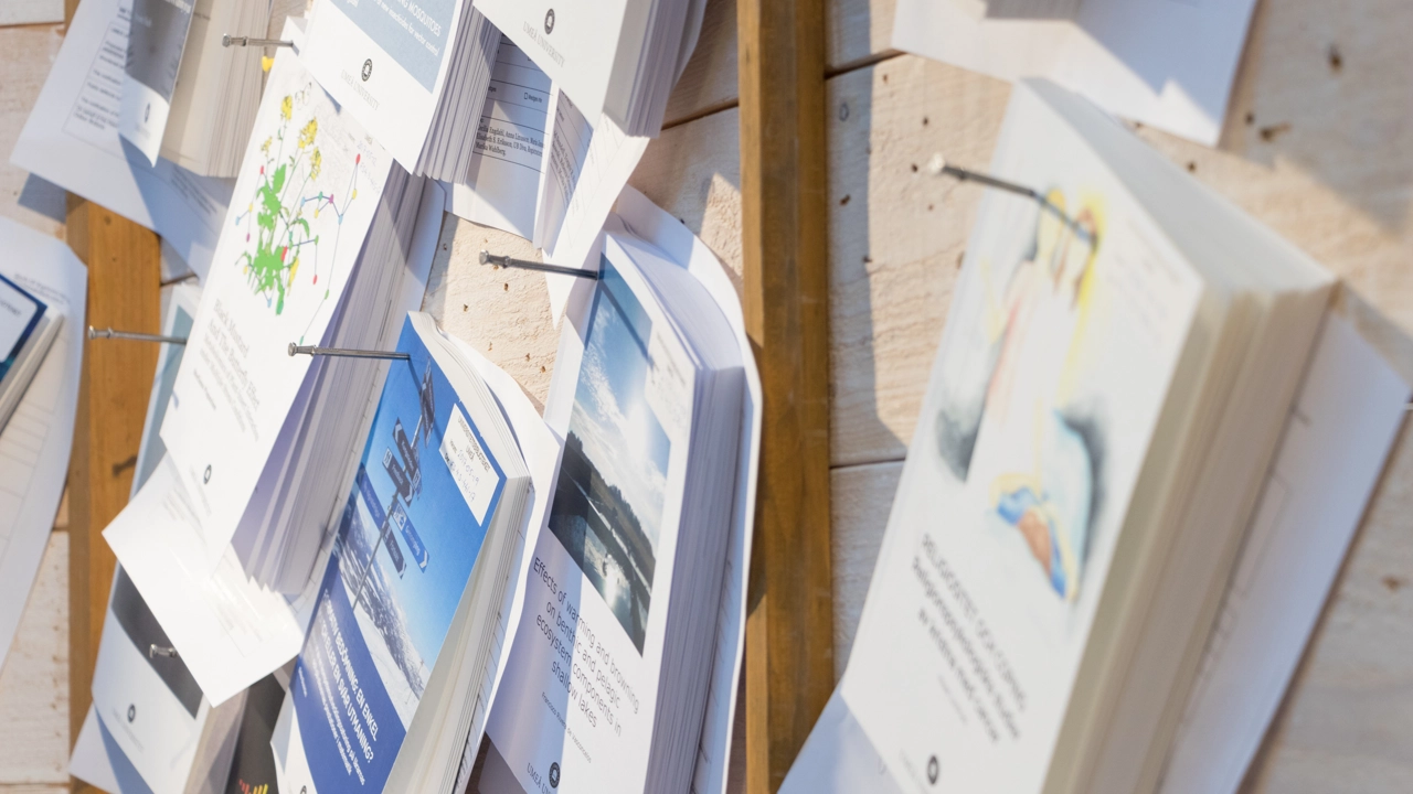 Avhandlingar uppspikade på en anslagstavla.