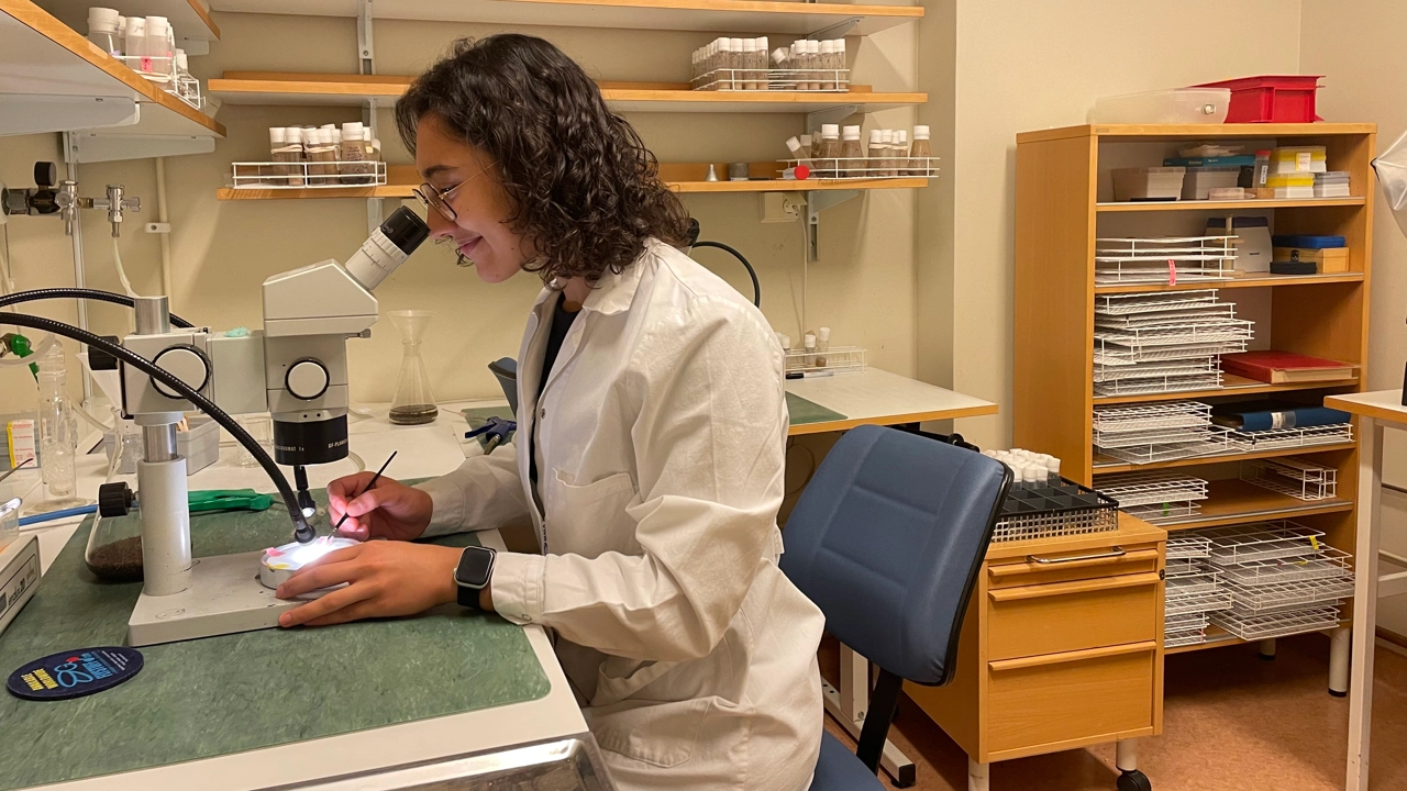 Bild på nés Hernández Crego som sitter vid ett bord i labbet och tittar i mikroskop