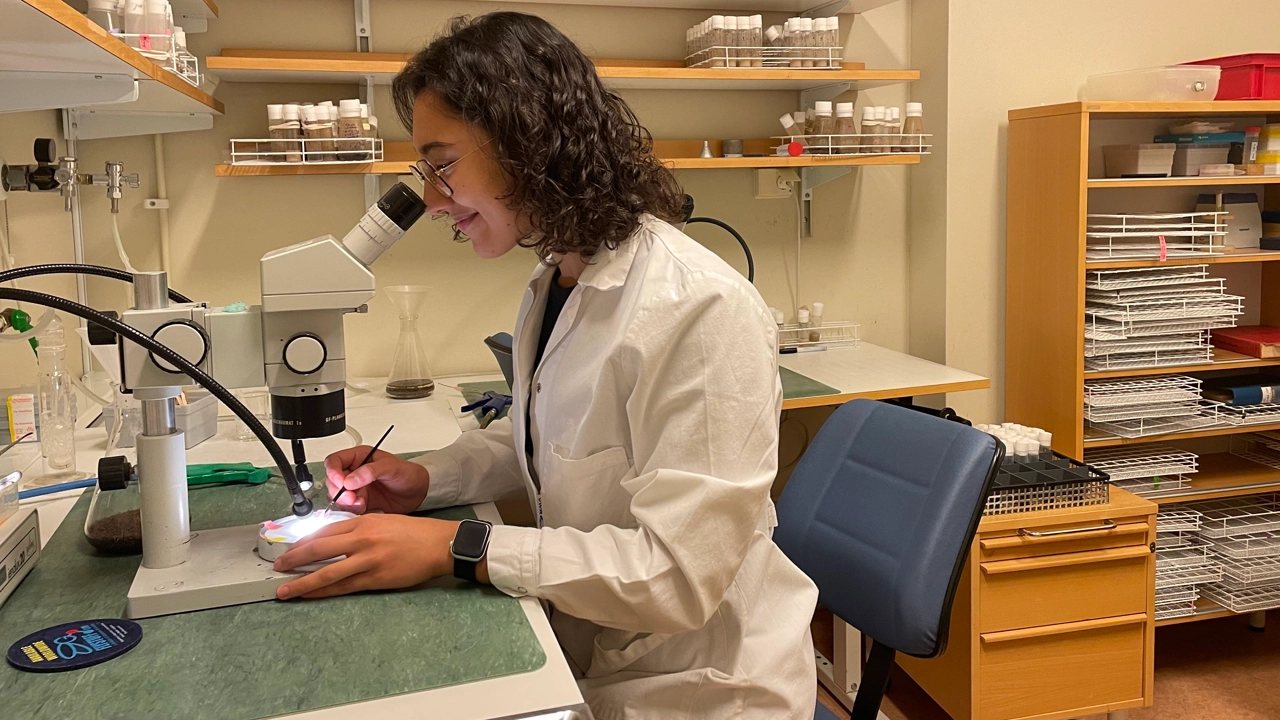 Bild på Inés Hernández Crego, sitter vid ett bord i labbet och tittar i mikroskop