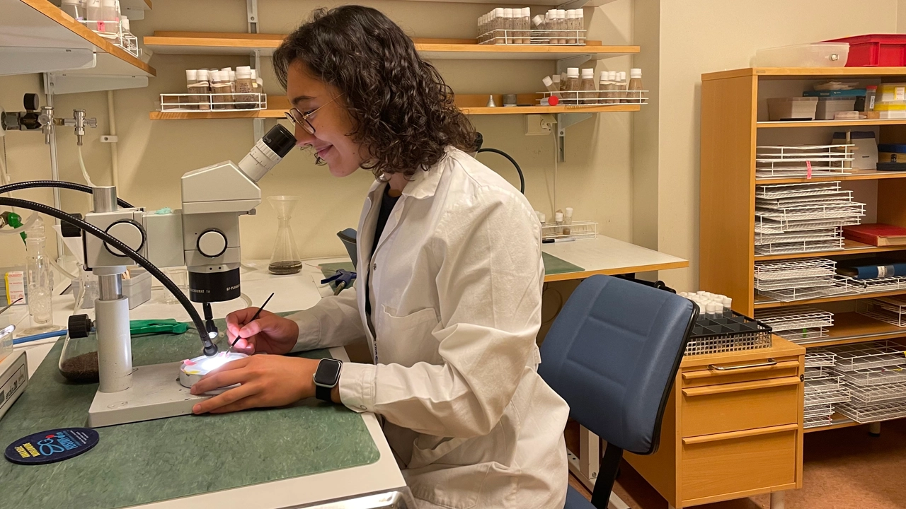Photo of Inés Hernández Crego sitting in the lab at a desk looking through the microscope.