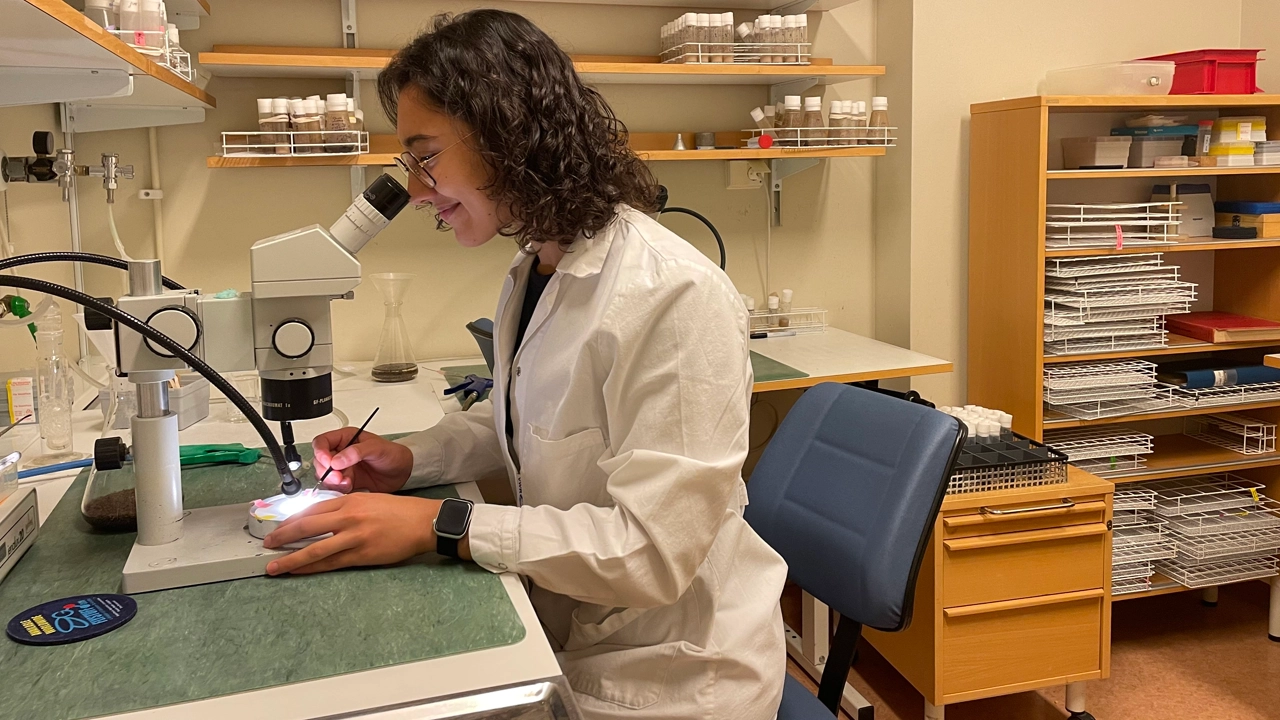 Bild på doktoranden Inés Hernandez Crego som sitter vid ett bord i labbet och tittar i ett mikroskop.