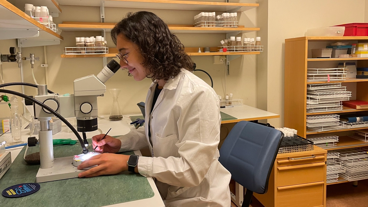 Photo of PhD student Ines Hernandez Crego sitting at a desk looking through a microscope