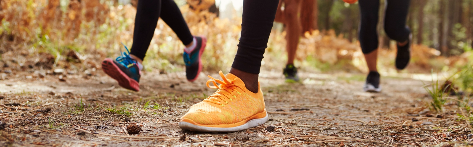 Grupp med löpare som springer på skogsväg.