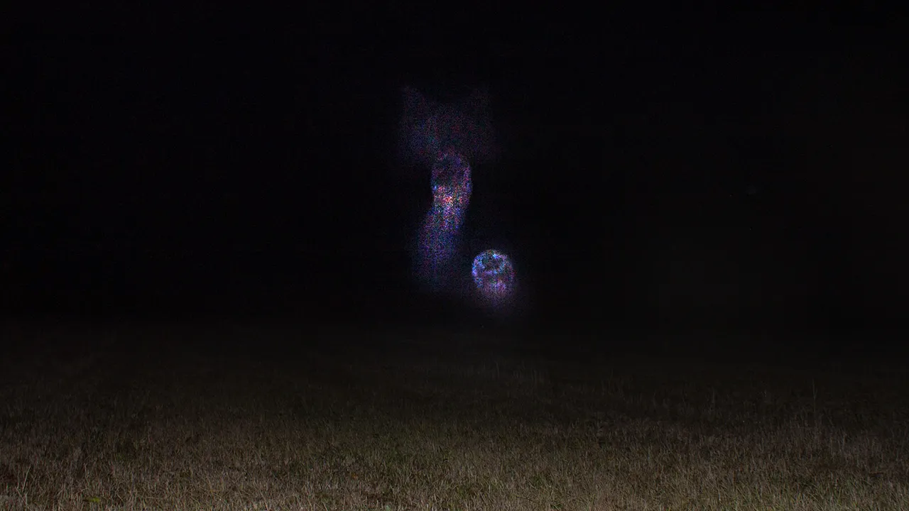 Gräsmatta i mörker med blå-röda ljuspunkter ovanför